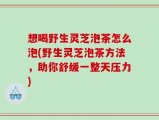 想喝野生灵芝泡茶怎么泡(野生灵芝泡茶方法，助你舒缓一整天压力)