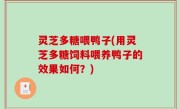 灵芝多糖喂鸭子(用灵芝多糖饲料喂养鸭子的效果如何？)