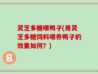 灵芝多糖喂鸭子(用灵芝多糖饲料喂养鸭子的效果如何？)