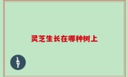 灵芝生长在哪种树上