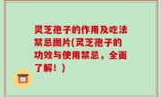 灵芝孢子的作用及吃法禁忌图片(灵芝孢子的功效与使用禁忌，全面了解！)