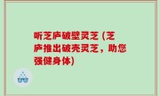 听芝庐破壁灵芝 (芝庐推出破壳灵芝，助您强健身体)
