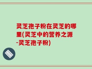 灵芝孢子粉在灵芝的哪里(灵芝中的营养之源-灵芝孢子粉)