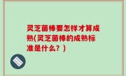 灵芝菌棒要怎样才算成熟(灵芝菌棒的成熟标准是什么？)