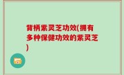 背柄紫灵芝功效(拥有多种保健功效的紫灵芝)