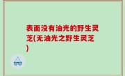 表面没有油光的野生灵芝(无油光之野生灵芝)