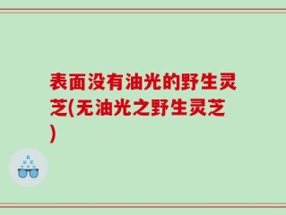 表面没有油光的野生灵芝(无油光之野生灵芝)