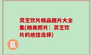 灵芝饮片精品图片大全集(精美照片：灵芝饮片的绝佳选择)