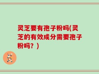 灵芝要有孢子粉吗(灵芝的有效成分需要孢子粉吗？)