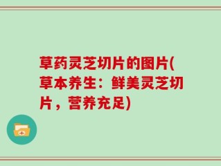 草药灵芝切片的图片(草本养生：鲜美灵芝切片，营养充足)