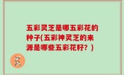 五彩灵芝是哪五彩花的种子(五彩神灵芝的来源是哪些五彩花籽？)