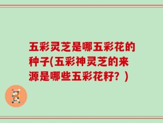 五彩灵芝是哪五彩花的种子(五彩神灵芝的来源是哪些五彩花籽？)