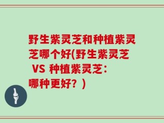 野生紫灵芝和种植紫灵芝哪个好(野生紫灵芝 VS 种植紫灵芝：哪种更好？)