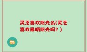 灵芝喜欢阳光么(灵芝喜欢暴晒阳光吗？)
