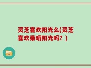灵芝喜欢阳光么(灵芝喜欢暴晒阳光吗？)