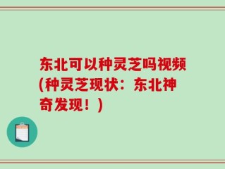 东北可以种灵芝吗视频(种灵芝现状：东北神奇发现！)