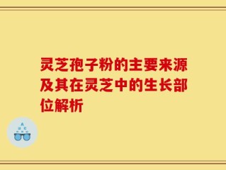 灵芝孢子粉的主要来源及其在灵芝中的生长部位解析