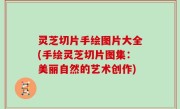 灵芝切片手绘图片大全(手绘灵芝切片图集：美丽自然的艺术创作)