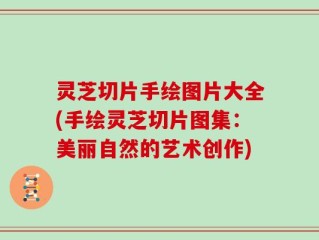 灵芝切片手绘图片大全(手绘灵芝切片图集：美丽自然的艺术创作)