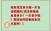 培育灵芝多少钱一斤合适呢图片(灵芝养殖成本是多少？一斤多少钱？教你如何控制成本优化盈利！)