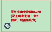 灵芝小山参泡酒的功效(灵芝山参泡酒：滋补健脾，增强免疫力)