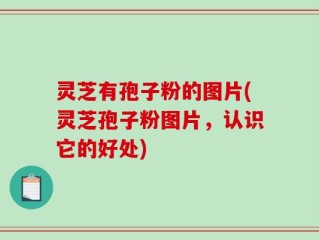 灵芝有孢子粉的图片(灵芝孢子粉图片，认识它的好处)