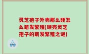灵芝孢子外壳那么硬怎么萌发繁殖(硬壳灵芝孢子的萌发繁殖之谜)