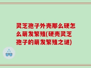 灵芝孢子外壳那么硬怎么萌发繁殖(硬壳灵芝孢子的萌发繁殖之谜)