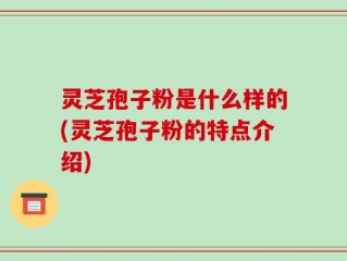 灵芝孢子粉是什么样的(灵芝孢子粉的特点介绍)