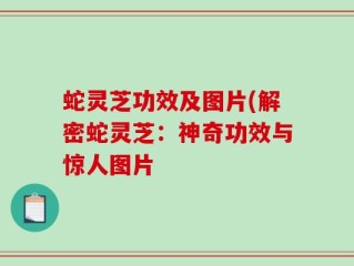 蛇灵芝功效及图片(解密蛇灵芝：神奇功效与惊人图片