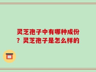 灵芝孢子中有哪种成份？灵芝孢子是怎么样的