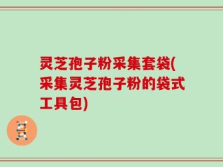 灵芝孢子粉采集套袋(采集灵芝孢子粉的袋式工具包)