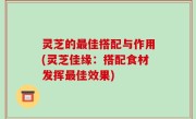 灵芝的最佳搭配与作用(灵芝佳缘：搭配食材发挥最佳效果)