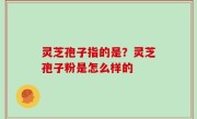 灵芝孢子指的是？灵芝孢子粉是怎么样的
