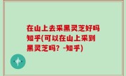 在山上去采黑灵芝好吗知乎(可以在山上采到黑灵芝吗？-知乎)