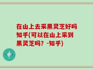 在山上去采黑灵芝好吗知乎(可以在山上采到黑灵芝吗？-知乎)