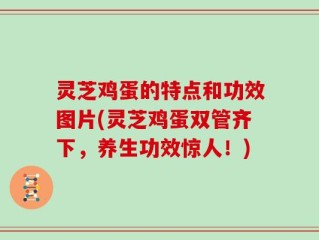 灵芝鸡蛋的特点和功效图片(灵芝鸡蛋双管齐下，养生功效惊人！)