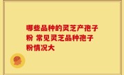 哪些品种的灵芝产孢子粉 常见灵芝品种孢子粉情况大