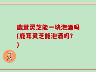鹿茸灵芝能一块泡酒吗(鹿茸灵芝能泡酒吗？)