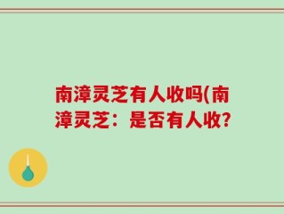 南漳灵芝有人收吗(南漳灵芝：是否有人收？