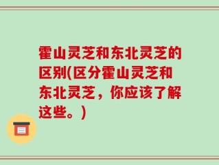霍山灵芝和东北灵芝的区别(区分霍山灵芝和东北灵芝，你应该了解这些。)