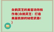 白鹤灵芝的美容功效和作用(白鹤灵芝：打造美丽肌肤的秘密武器！)