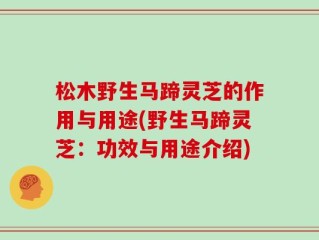 松木野生马蹄灵芝的作用与用途(野生马蹄灵芝：功效与用途介绍)