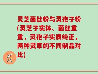 灵芝菌丝粉与灵孢子粉(灵芝子实体、菌丝重重，灵孢子实质纯正，两种灵草的不同制品对比)