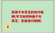 获得千年灵芝的技巧视频(学习如何种植千年灵芝：实用技巧视频)