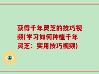 获得千年灵芝的技巧视频(学习如何种植千年灵芝：实用技巧视频)