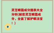 灵芝眼霜成分图表大全分析(解密灵芝眼霜成分，全面了解护眼法宝！)
