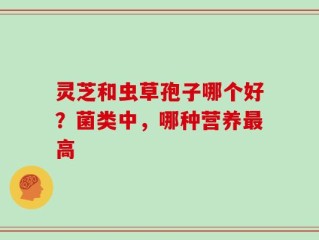 灵芝和虫草孢子哪个好？菌类中，哪种营养最高