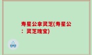 寿星公拿灵芝(寿星公：灵芝瑰宝)