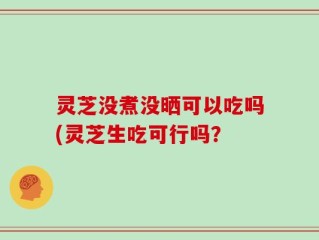灵芝没煮没晒可以吃吗(灵芝生吃可行吗？